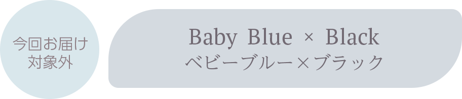 Baby blue ~ Black 
